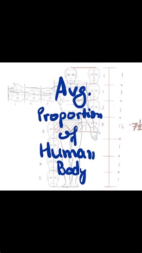 Aryan Saxena on Instagram: "Average proportions of the human body Kafi important h if you want to learn how to draw anatomy #drawing #characterdesign #figuredrawings #sketching #sketch #animation #human #humandrawing #anatomydrawings #gesturedrawing"