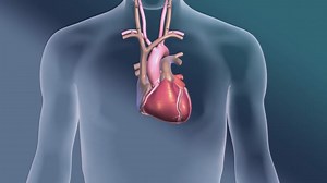 New device helps treat AFib at St. Peter’s