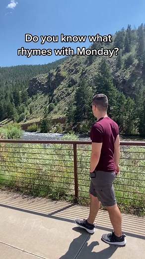 Humorous Take on the Case of the Mondays