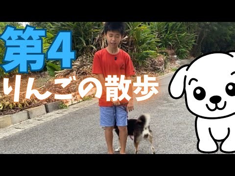 りんごの散歩第4公園まで