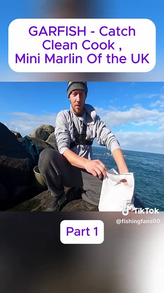 FISHING FANS on TikTok