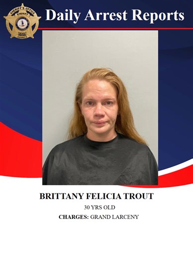 The Henry County Sheriff's Office Daily Arrest. | Henry County Sheriff's Office