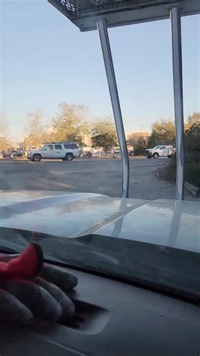 Exploring the LIVE Incentive Program Benefits