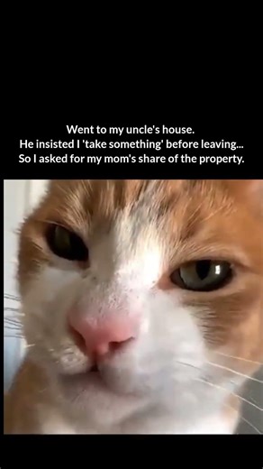 Property #funny #memes #relatablememes #relatable #funnyshorts