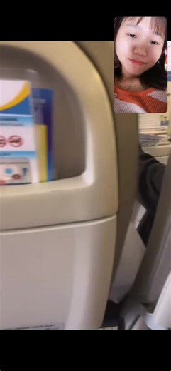 Exploring Airplane Cabin Interiors: A Passenger's View