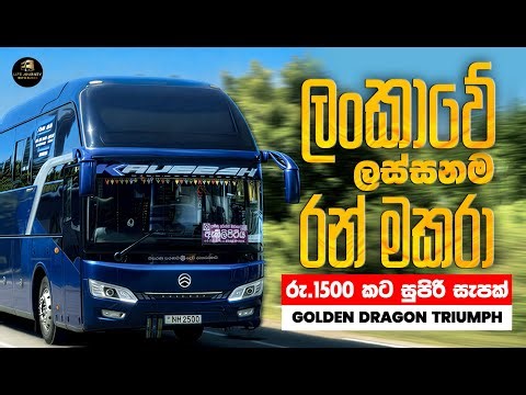 1st-Time Golden Dragon Triumph Bus Vlog in Sri Lanka 🔥 A Fast Journey Through Paradise! 🇱🇰💨