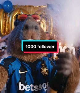 Raga grazie mille! 1000 follower! Non me lo sarei mai immaginato di arrivarci, grazie di cuore! #inter #lookman #atalanta #seriea #serieatim #calciomercato