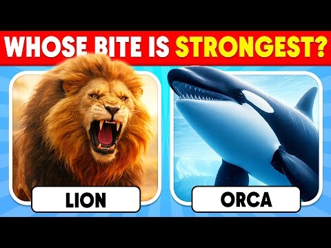 How Well Do You Know Animals? 🦁🐳✅ General Knowledge Trivia Quiz | Nemo Quiz