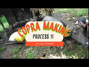 COPRA MAKING PROCESS RAW VIDEO 11