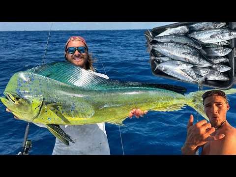 Commercial Fishing For Giant MAHI & KINGFISH with The Hawaii HammaH Jang Crew!!