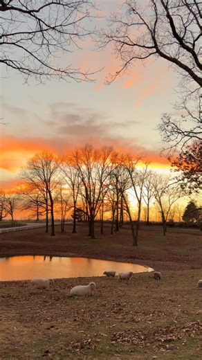 The week between Christmas and New Year’s is my favorite week of the year. It’s the week for starting a new book, half-finished puzzles covering the kitchen table and movie nights. It’s the week to exhale…and, maybe go on an adventure or two. This is the week that still feels full of possibility regardless of all the hard of the last year. 🤍 | Jenny Marrs