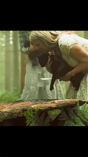 Exploring the Depth of Narratives in Film