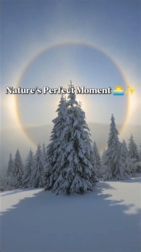 Nature’s Perfect Moment 🌅✨ #perfect #aesthetic #moments