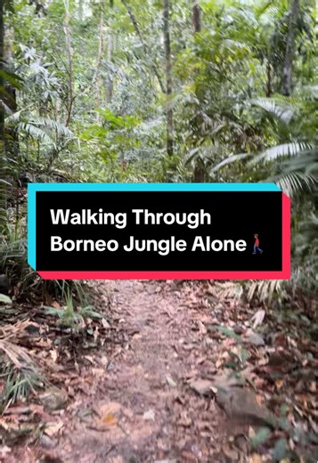 Walking Through Borneo Jungle Alone🚶🏾‍♂️ #borneo #travel #rapper #jungle #fyp