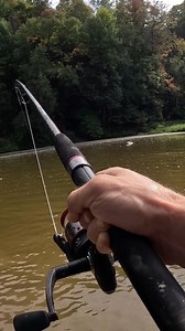 A massive fish put up an epic fight, testing a fisherman's skills to the absolute limit. The battle was intense 🤯 #FishingFail #EpicStruggle #BigFish #Fisherman #Unbelievable #FishingLife | The Fisher