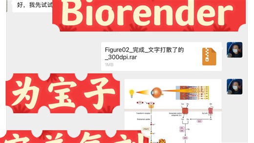 Biorender 矢量科研绘图完美😍解决方案