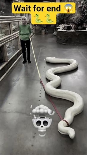 🐍🐍 Biutiful Snake #trending #viral #love #shorts #snake