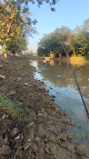 เทคนิคการใช้เหยื่อตกปลาช่อนสำหรับมือใหม่