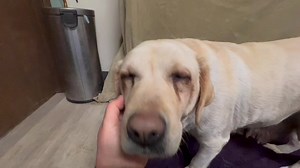 12K views · 656 reactions | ***Held for Ransom - Intake Alert -...