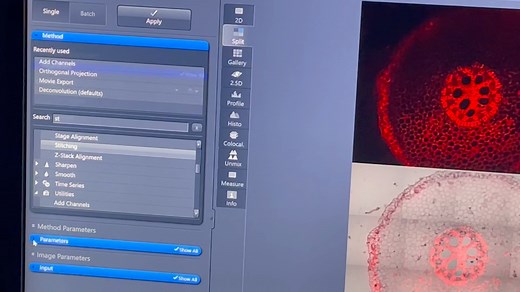 Zeiss LSM 900 激光扫描共聚焦显微镜仪器操作及ZEN软件使用