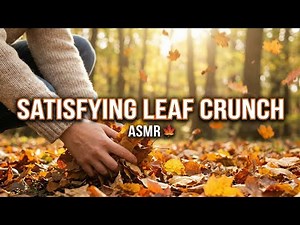 The Ultimate Satisfying Compilation: 30 Clips to Relax You