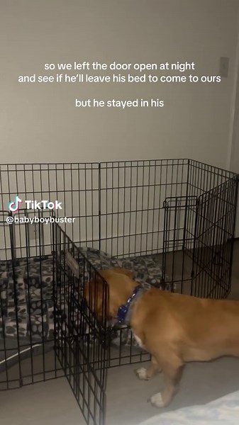 I’m crying he’s a big boy | playpen baby