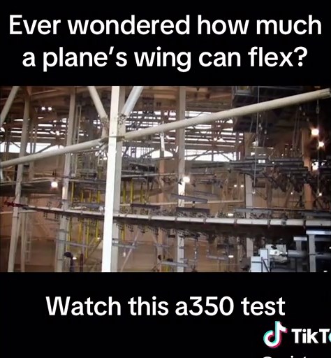 Watch This A350 Wing Flex Test | Aviation Lovers Rejoice