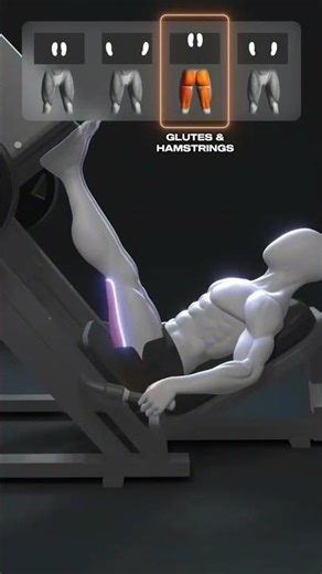 Leg Press Machine Guide – How to Build Bigger Legs (Correct Form)