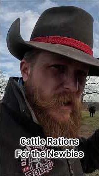 Cattle Rations For Newbies | #ranching #cows #minerals #nutrition #animals #shorts
