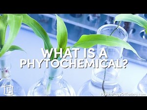 What is a Phytochemical? - with Marc David