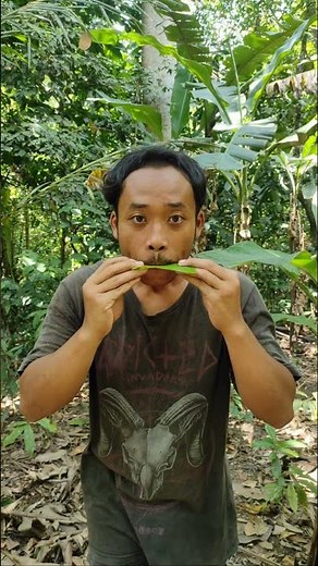diy nature flute #craft #bushcraft #diy #satisfying