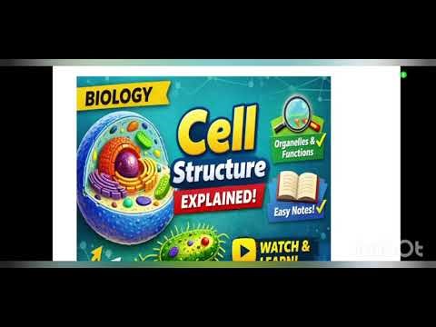Cell structure for beginners