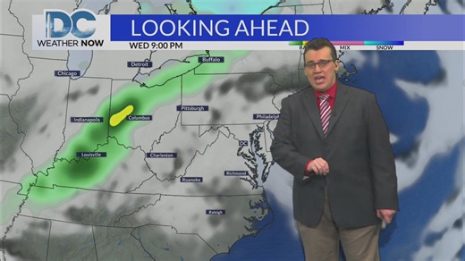 A welcome warmth, a delightful shift after chilly temperatures