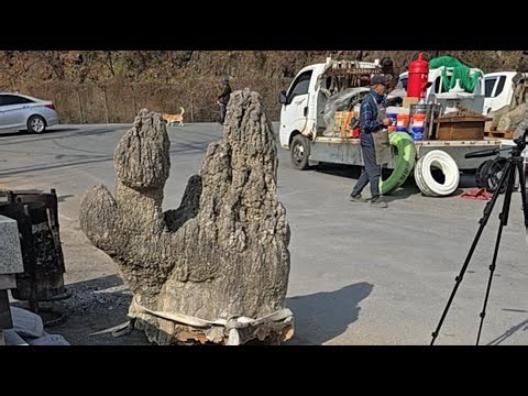 고령경매장 1부 4월3일 금요일 오전11시/010.8582.0035