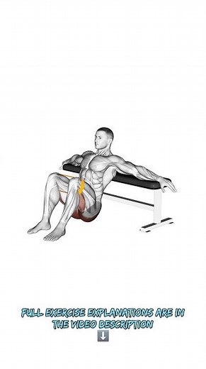 ➡️ Resistance band hip thrust #gym #bodybuilding #fitness