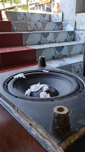 Bose 12 inch China Power! Extreme Bass Test with Viral DJ Mix #basstest #dj #nghia