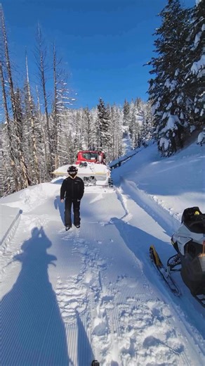The effort!!! Trail clearing crew: MVSA volunteers, Mountain Trails Grooming Association, and one Forest Service emoloyee for our area out there busting their *** | Methow Valley Snowmobile Association