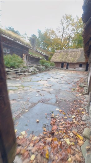 5.8K views · 92 reactions | Living in the Past – Inside an Old Danish...