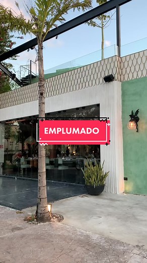Emplumado: El restaurante más trendy de Mérida Yucatán | #topyucatan #meridayucatanmexico #yucateco #yucatan