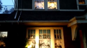 WOWindow Jack O'Lanterns Halloween 34.5"x60" (2) Plastic Backlit Reusable Window Decoration Posters, USA Made, Easier than Cling