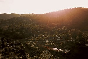 Agroforestry and land reform give Brazil cacao farmers sweet taste of success