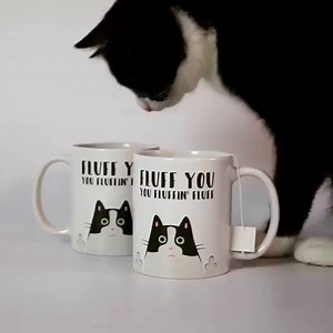 18K views · 164 reactions | Cats just don't give a fluff.  Find the meowgical mugs by @2chaoscats at https://rdbl.co/2CxHue4  | Redbubble | Facebook