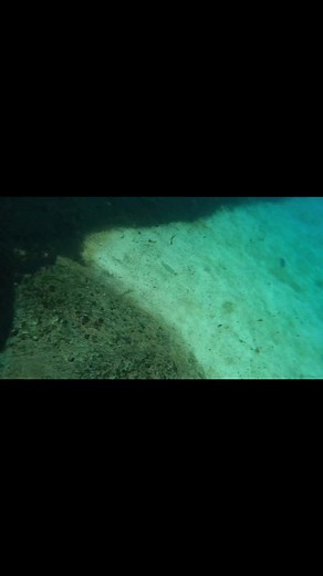 2.2K views · 21 reactions | That time in Grand Cayman when the same turtle kept coming for me 藍. Catch the full vlog of our amazing time at Grand Cayman Turtle Center tomorrow at 7:30pm est on our Youtube chann! #CapCut #fyp #cruisetok #cruiselife #carnival #carnivalcruise #grandcayman #grandcaymanturtlecenter #turtles #mhfamilyadventures #reels | MH Family Adventures | Facebook