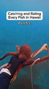 60K views · 1K reactions | Catching and Rating Every Fish in Hawai’i part 53: Omilu Sashimi Papio Blue fin Trevally #catchandcook #sashimi #spearfishing #hawaii #oahu #diving #cooking | Islandcatchandcook | Facebook