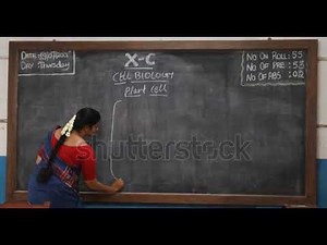 Teacher Writing on a Blackboard (100% Royalty-free)