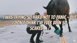 My Gelding Might One Day Give Me a Heart Attack