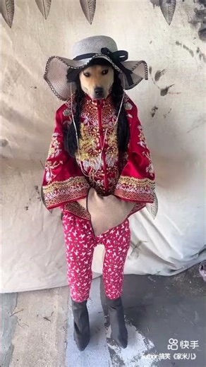 funny shots videos 😁😁#shots #viral