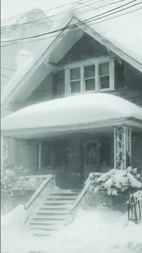 Forest Cabin Snowstorm Sounds ❄️ Intense Blizzard for Deep Sleep