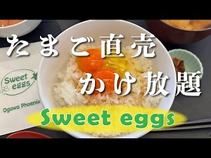 【スウィートエッグス Sweet eggs】たまごかけごはん【相模原市 麻溝台】横浜朝めしチャンネル【直売所カフェ かけ放題 】