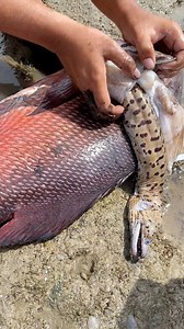 17K views · 84 reactions | Ang laki ng kinain walo walo | Jolan Francisco | Facebook